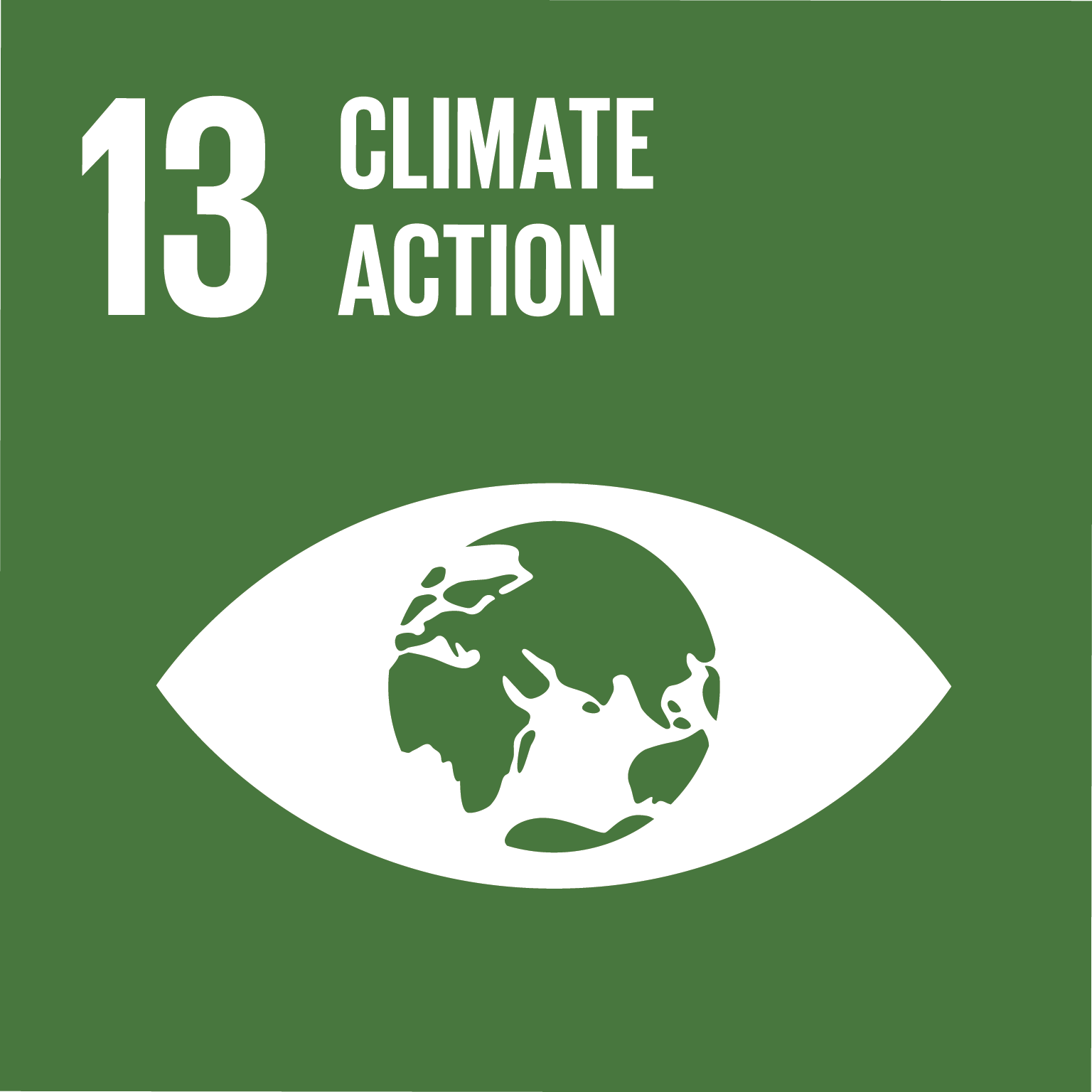 E SDG goals icons-individual-rgb-13