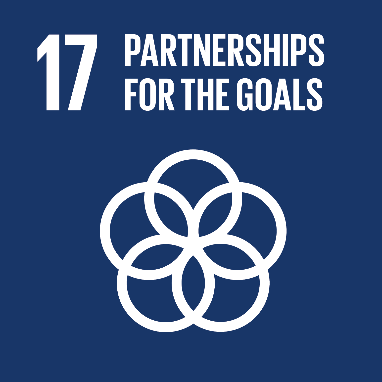 E SDG goals icons-individual-rgb-17